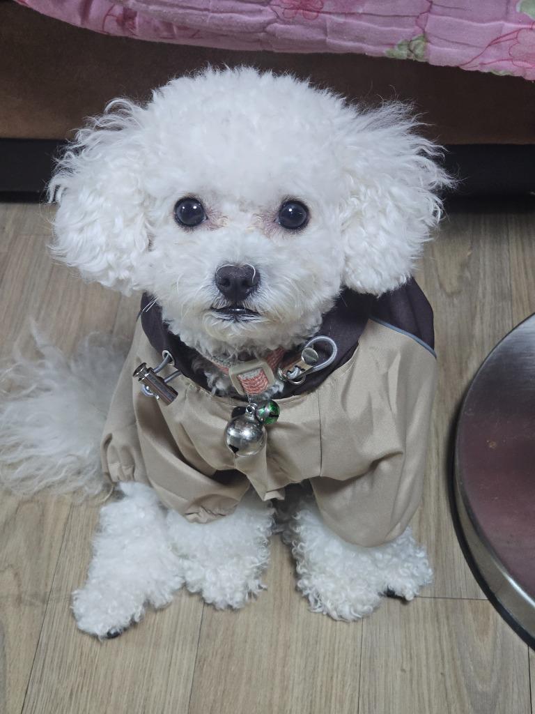 댓글 이미지