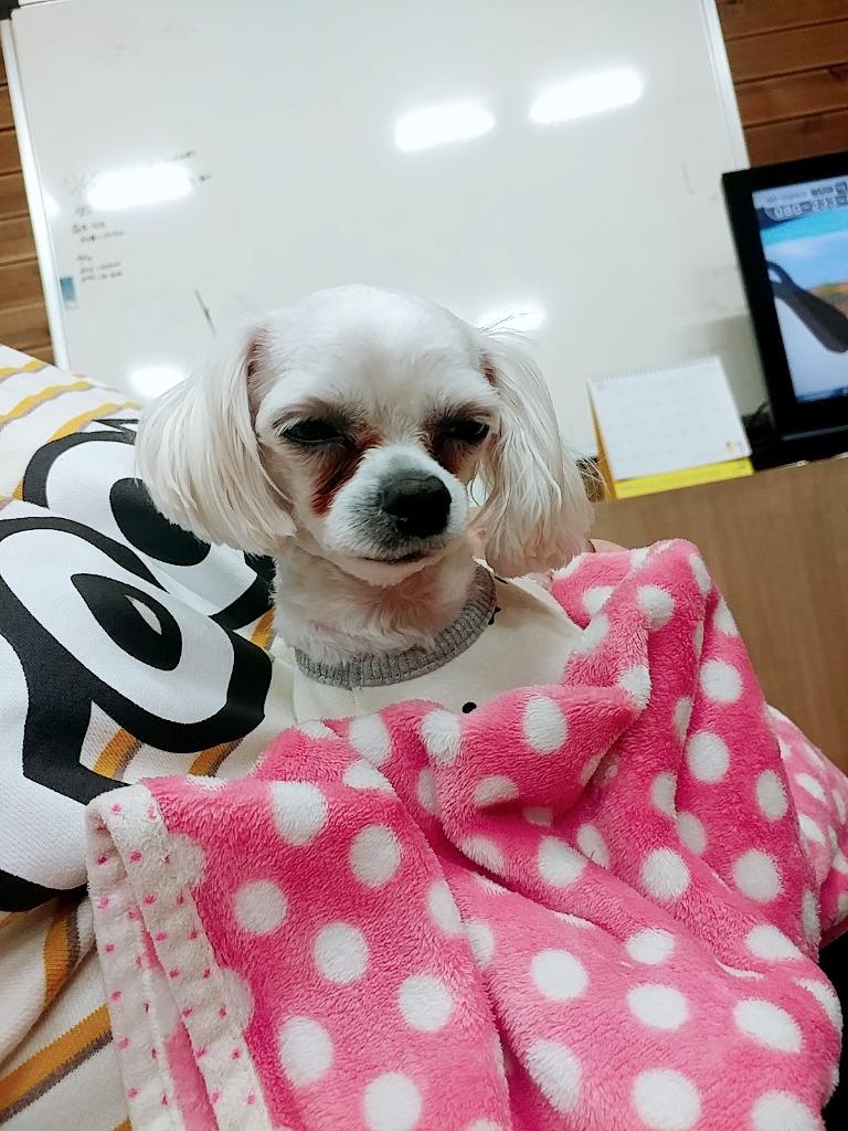 댓글 이미지