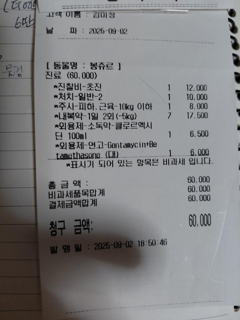 댓글 이미지
