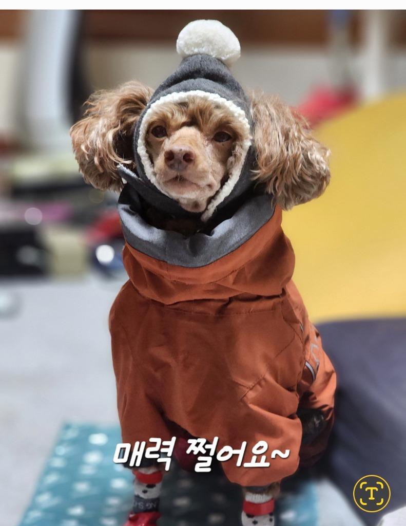 댓글 이미지