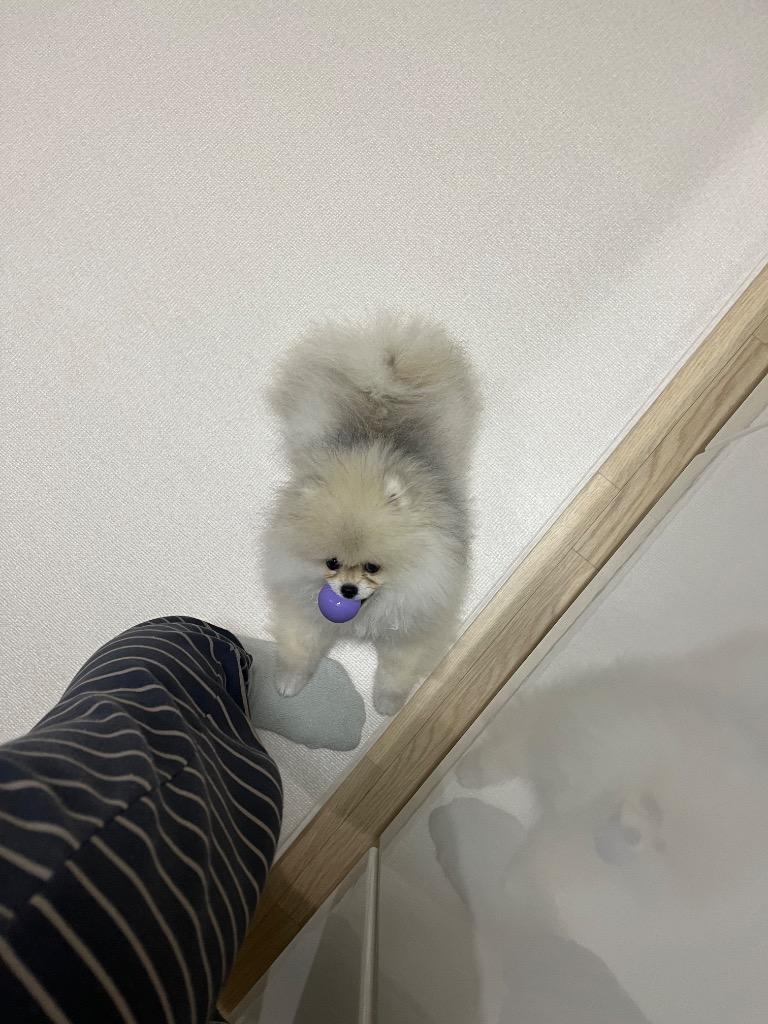 댓글 이미지