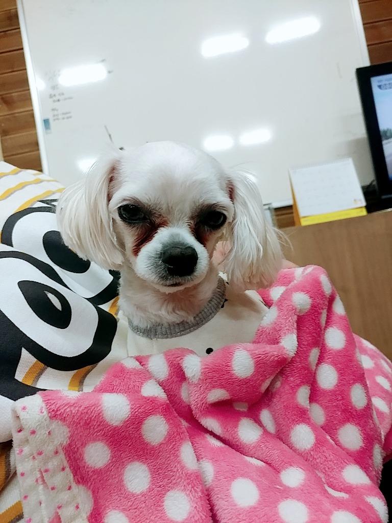댓글 이미지