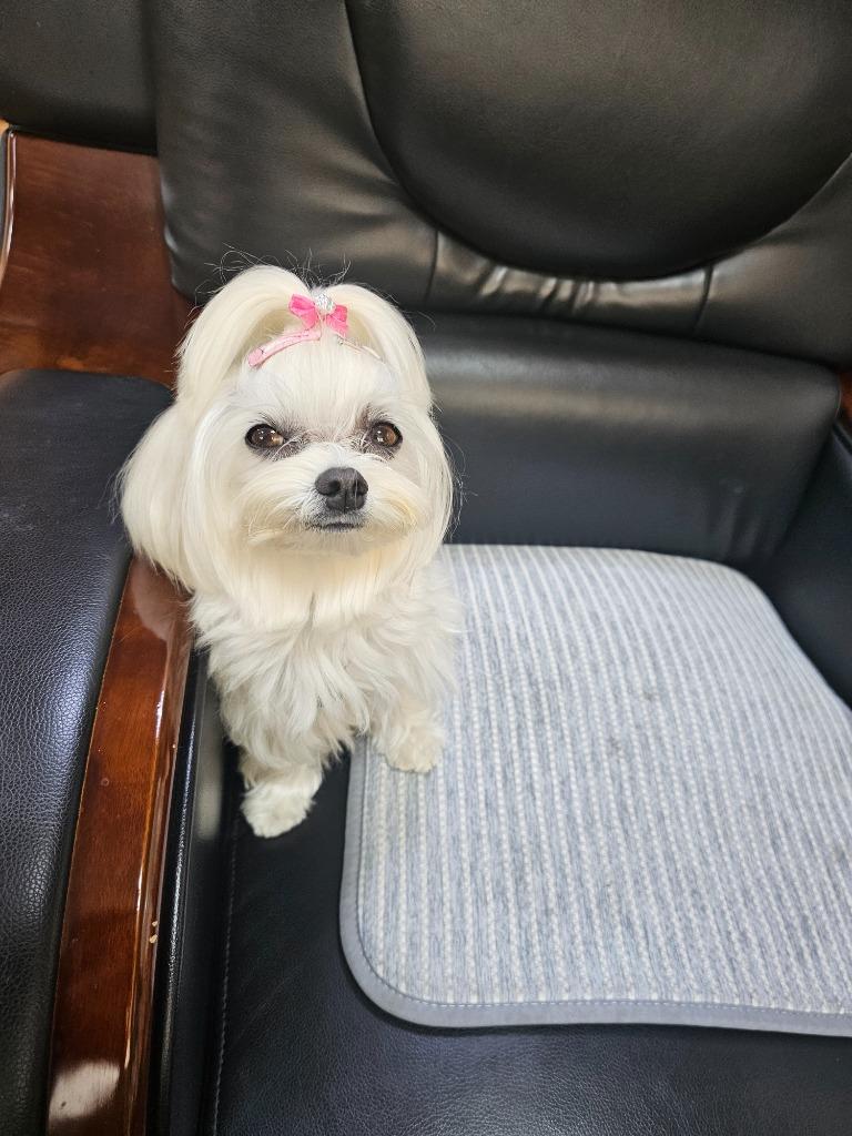 댓글 이미지