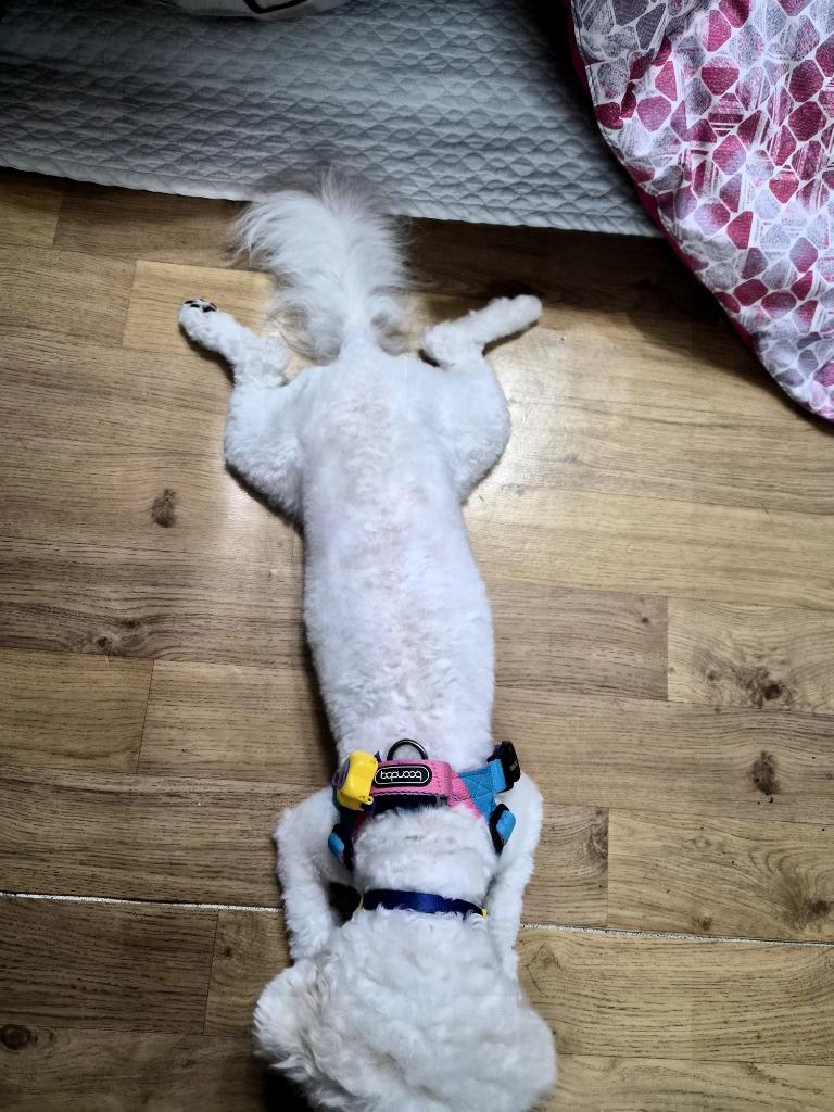 댓글 이미지