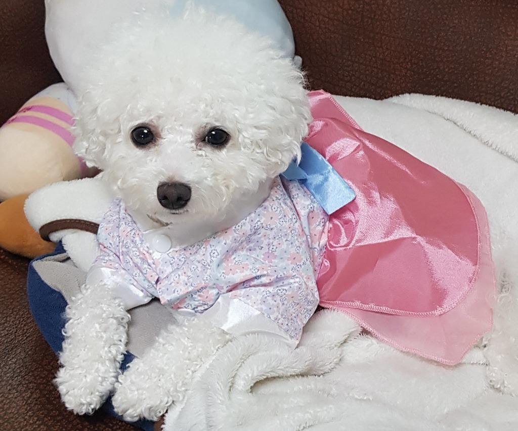 댓글 이미지