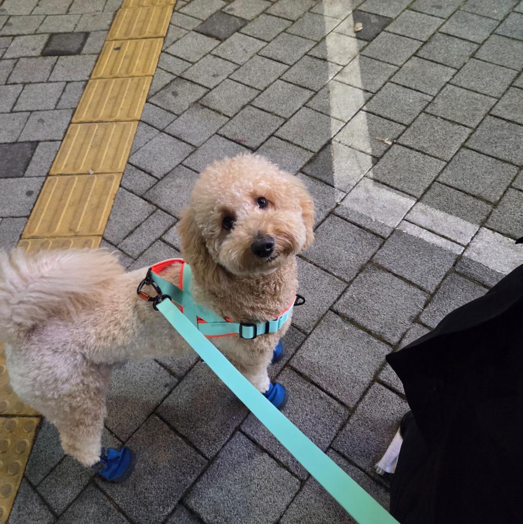 댓글 이미지