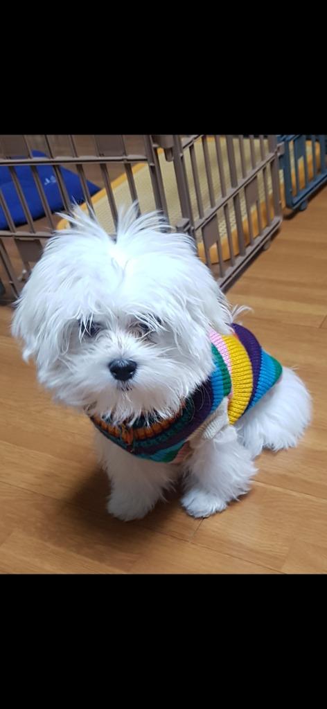 댓글 이미지