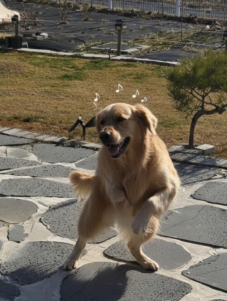 댓글 이미지