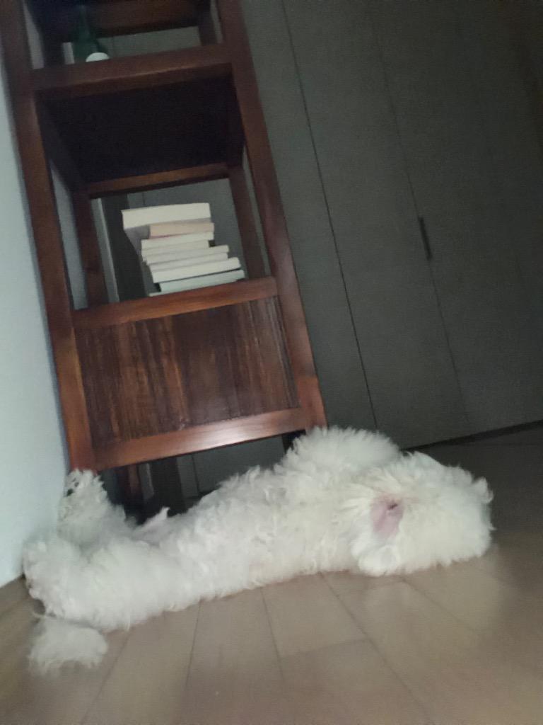 댓글 이미지