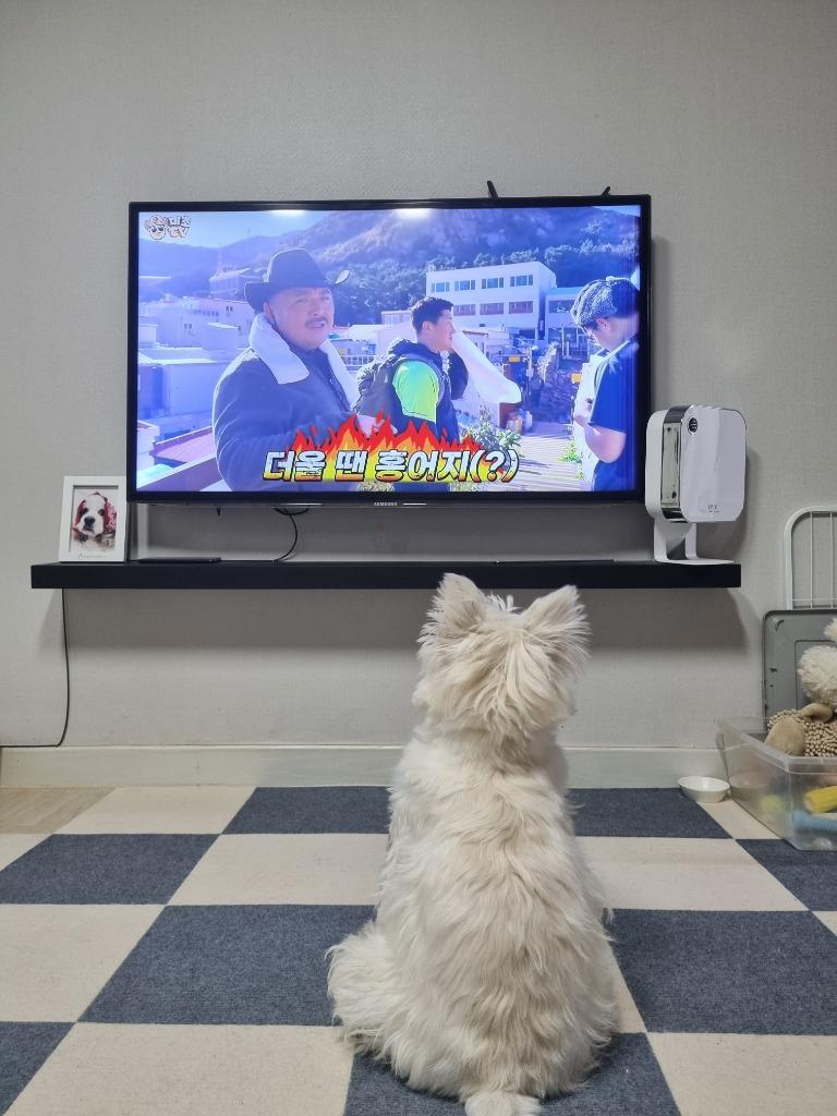댓글 이미지