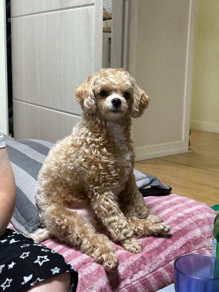 댓글 이미지