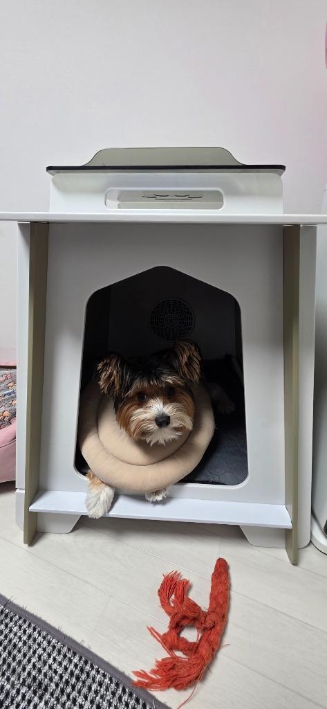 댓글 이미지