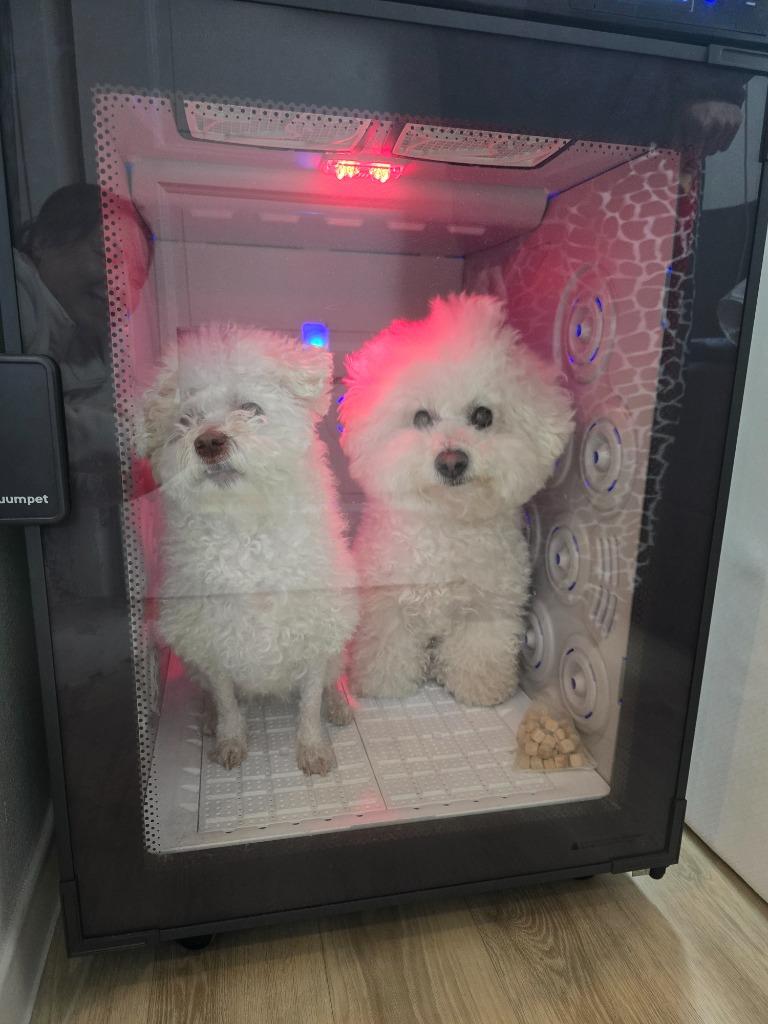 댓글 이미지
