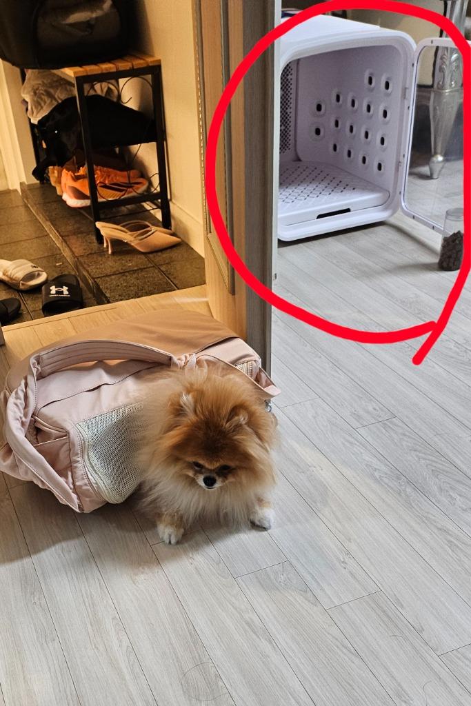 댓글 이미지