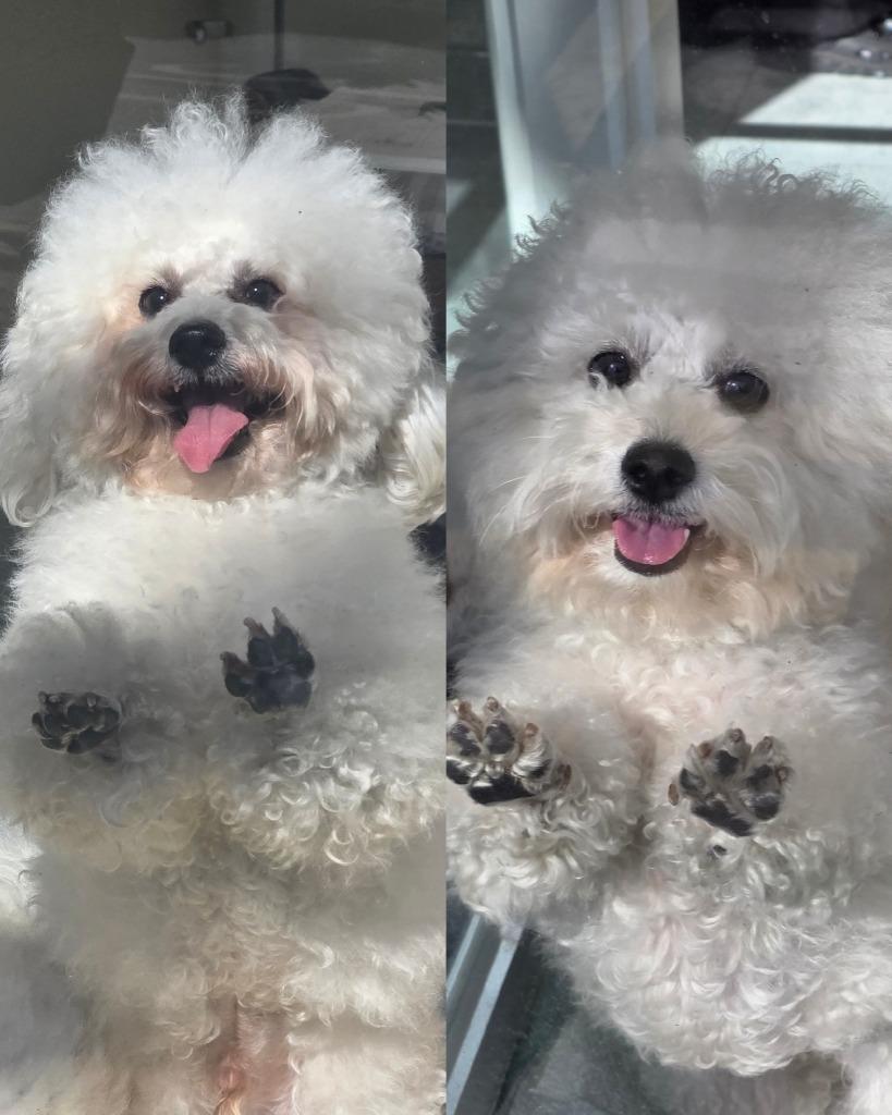 댓글 이미지