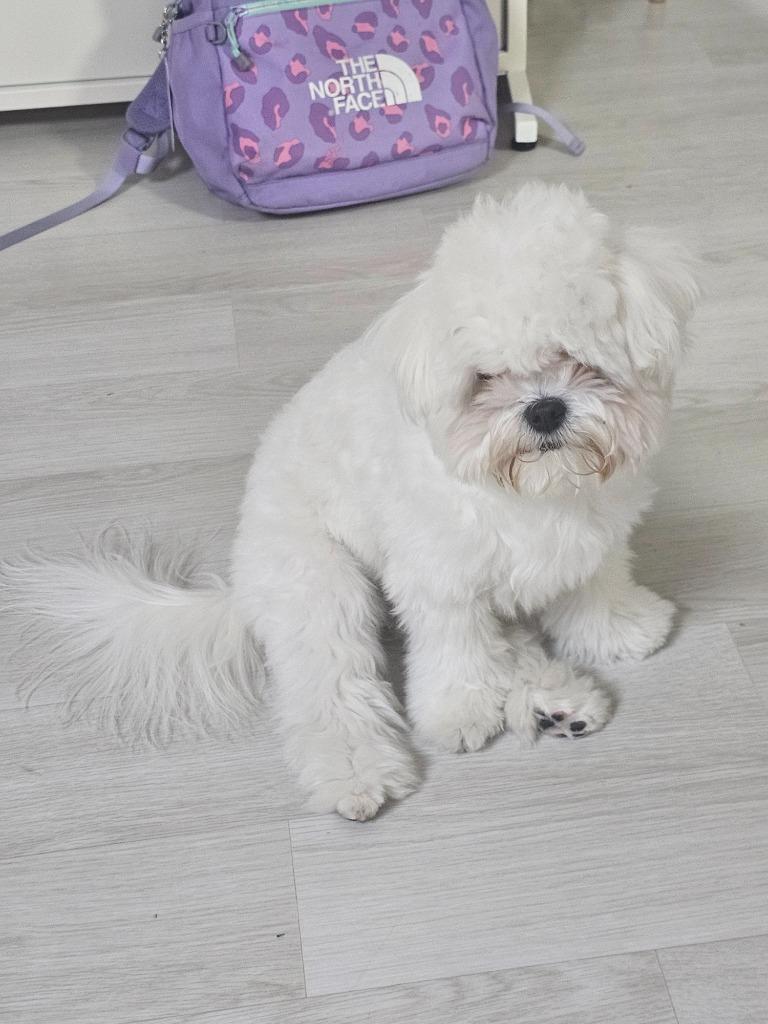 댓글 이미지