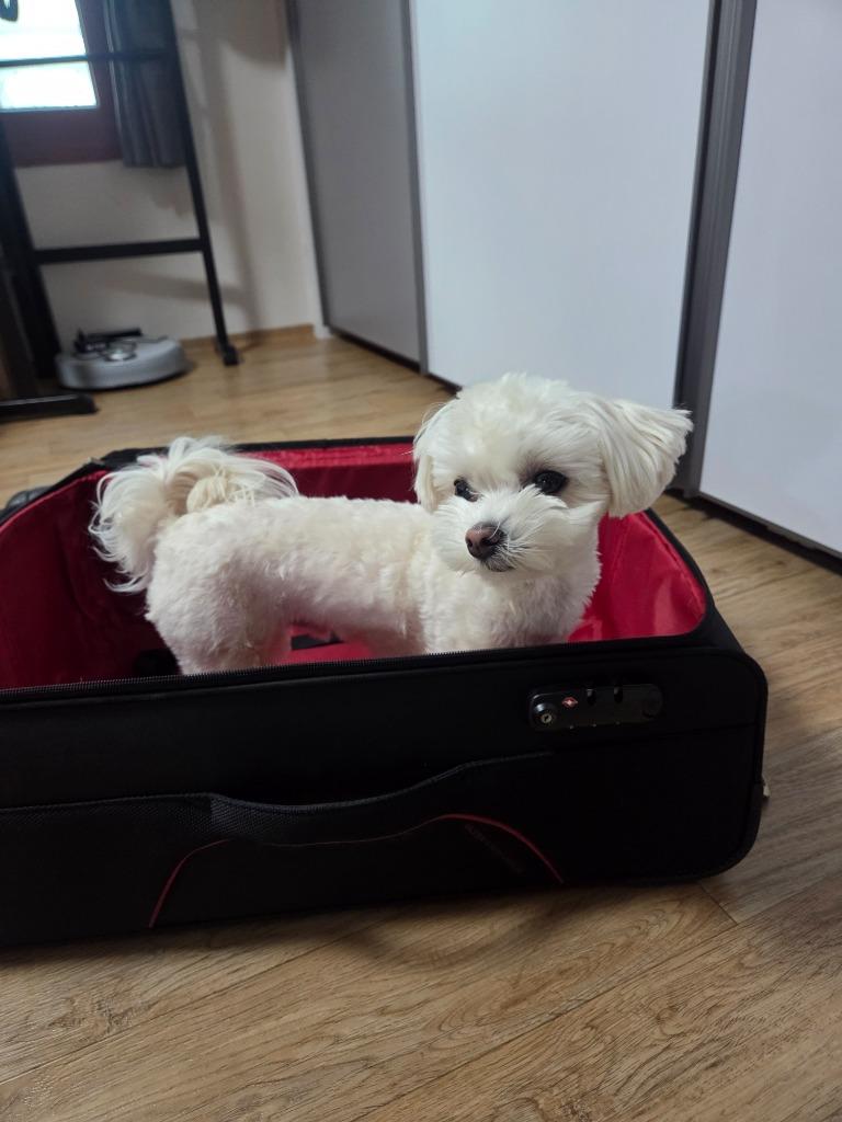 댓글 이미지