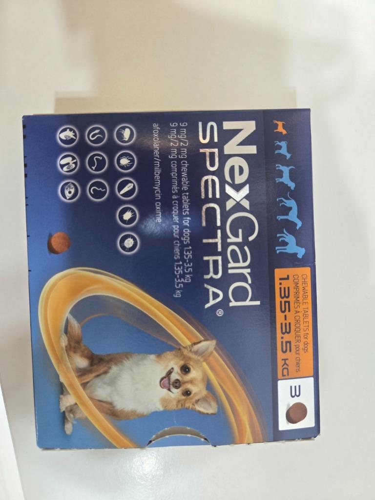 댓글 이미지