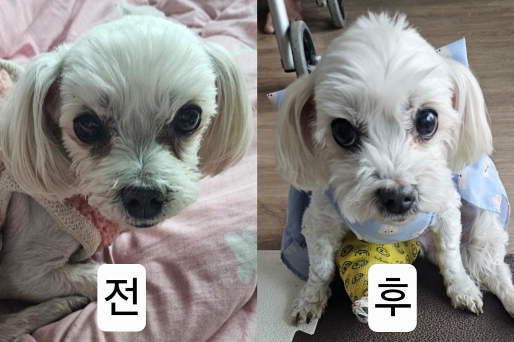댓글 이미지