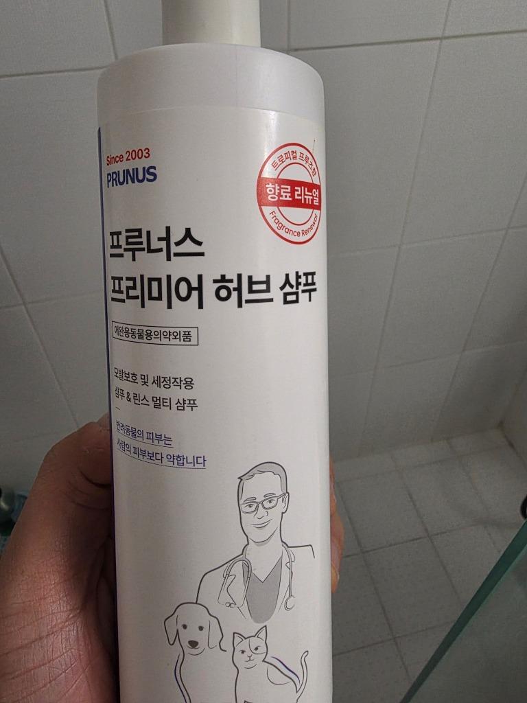 댓글 이미지
