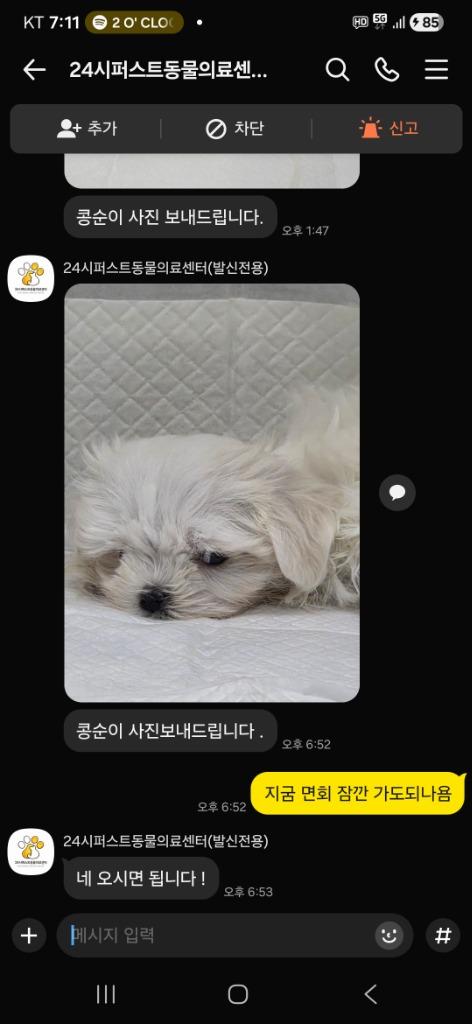 댓글 이미지