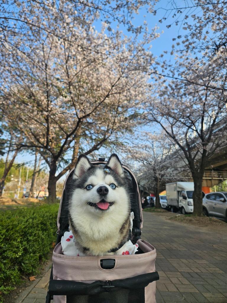 댓글 이미지