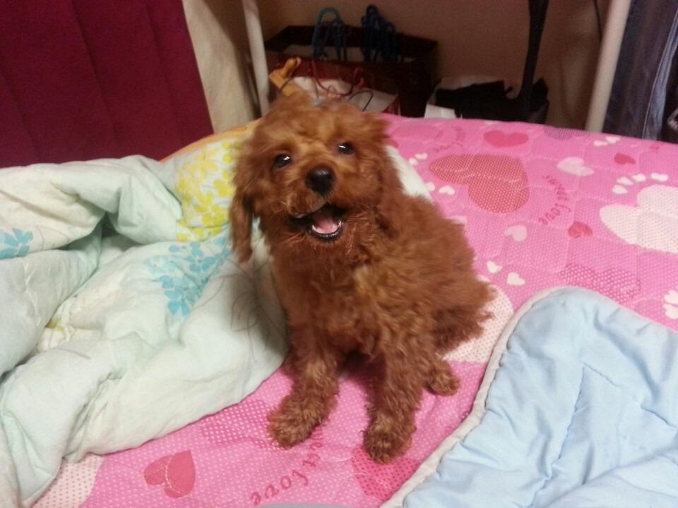 댓글 이미지