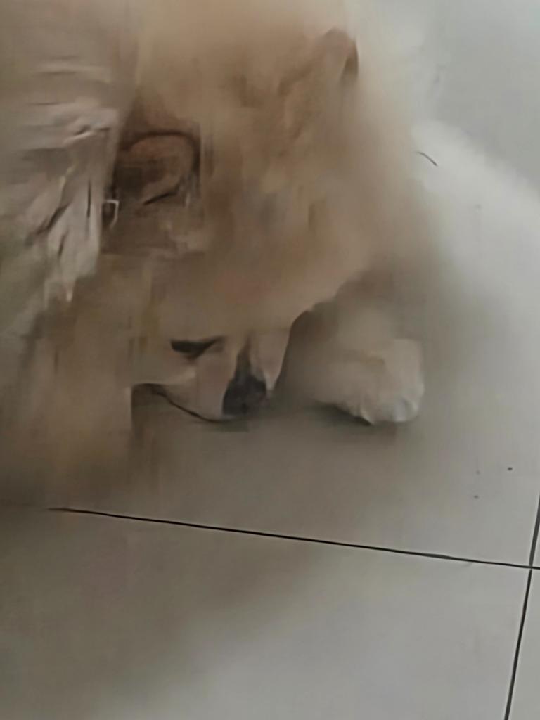 댓글 이미지