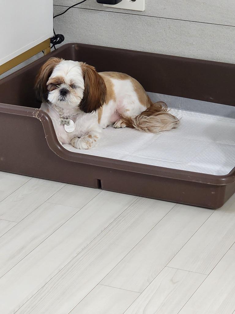 댓글 이미지