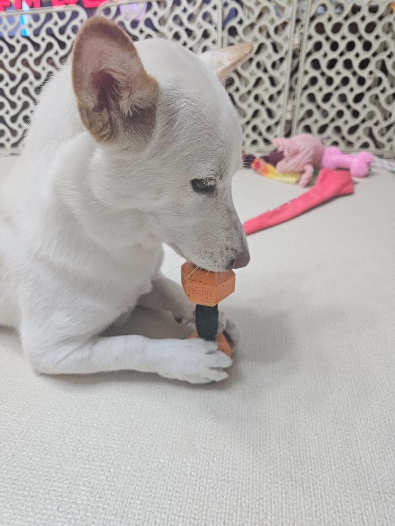 댓글 이미지