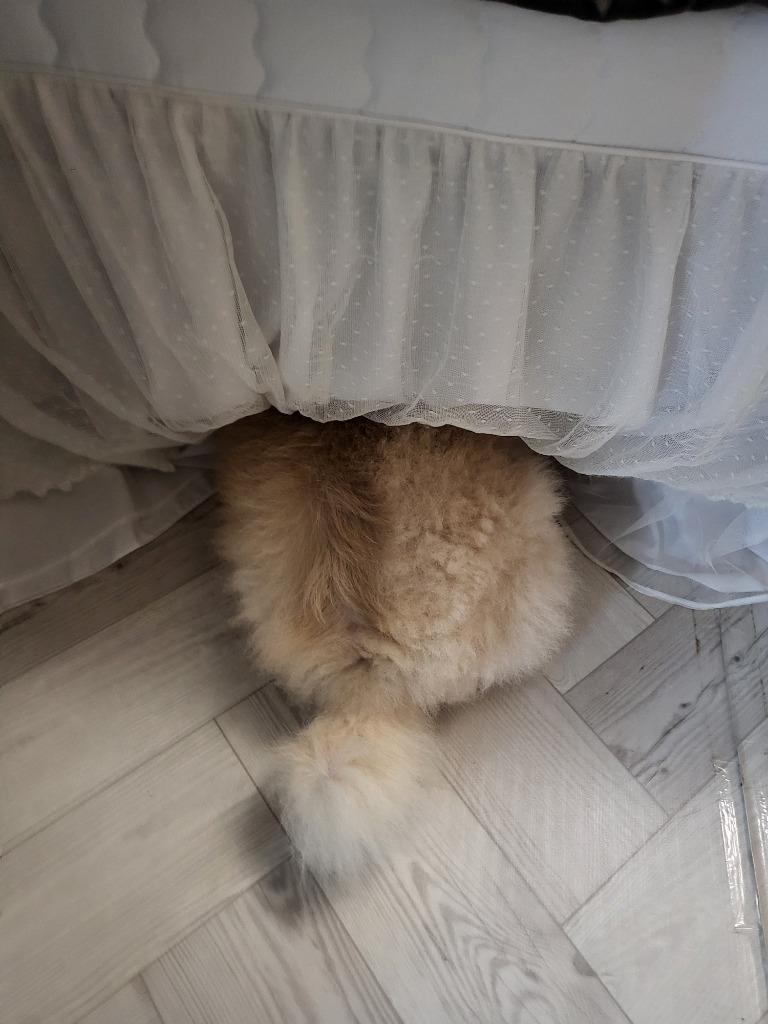 댓글 이미지
