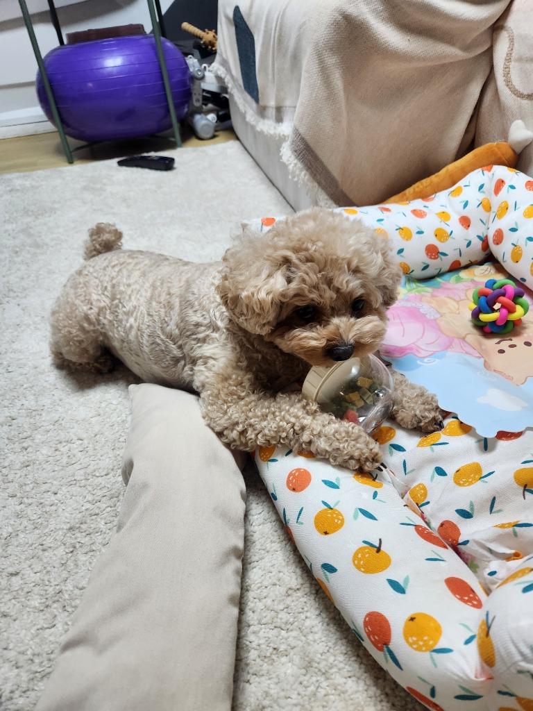 댓글 이미지