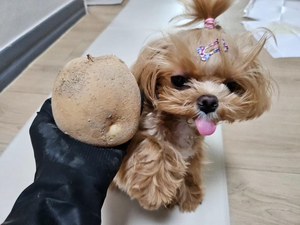 댓글 이미지