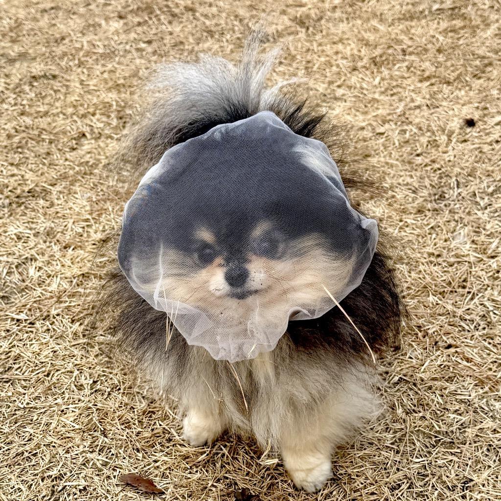 댓글 이미지