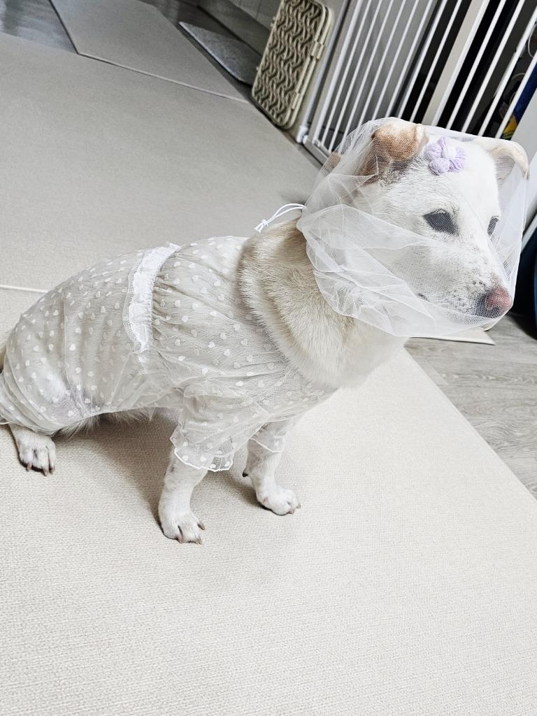 댓글 이미지