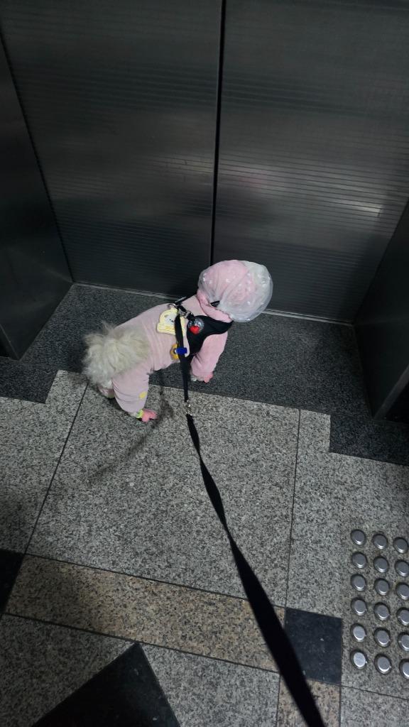댓글 이미지