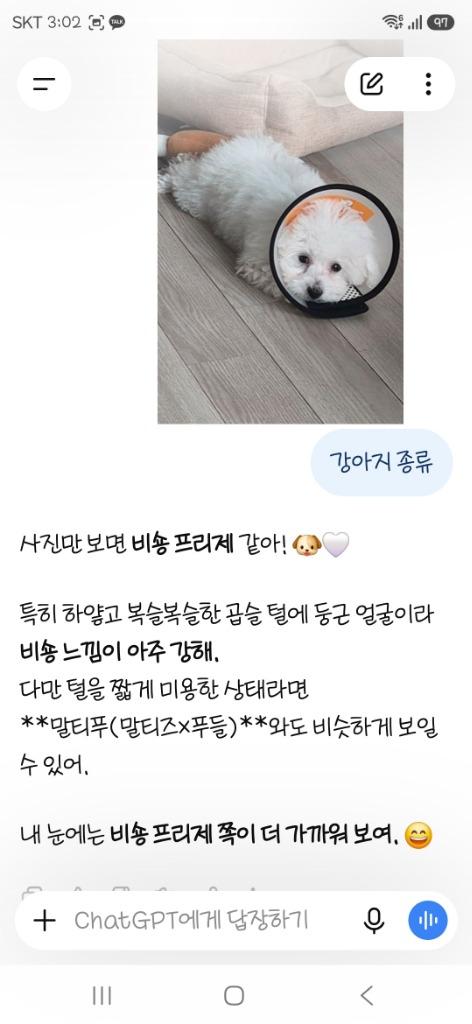 댓글 이미지