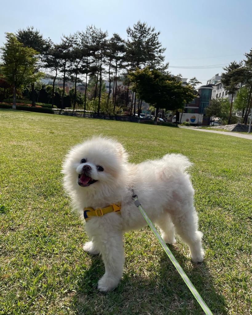 댓글 이미지
