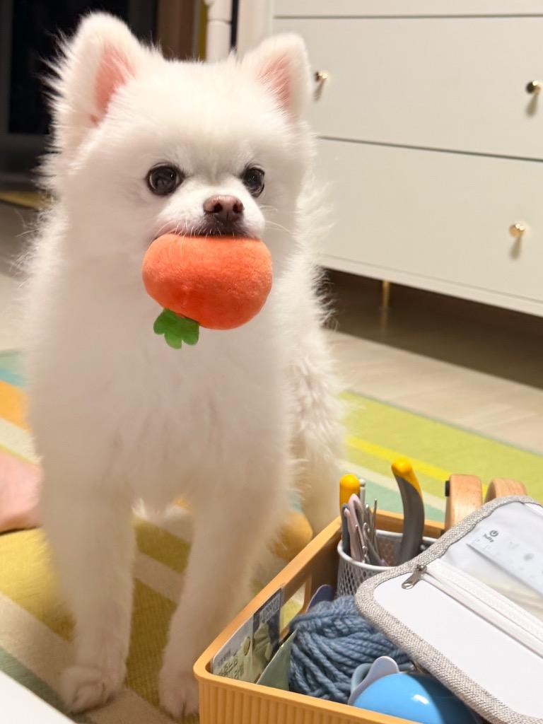 댓글 이미지