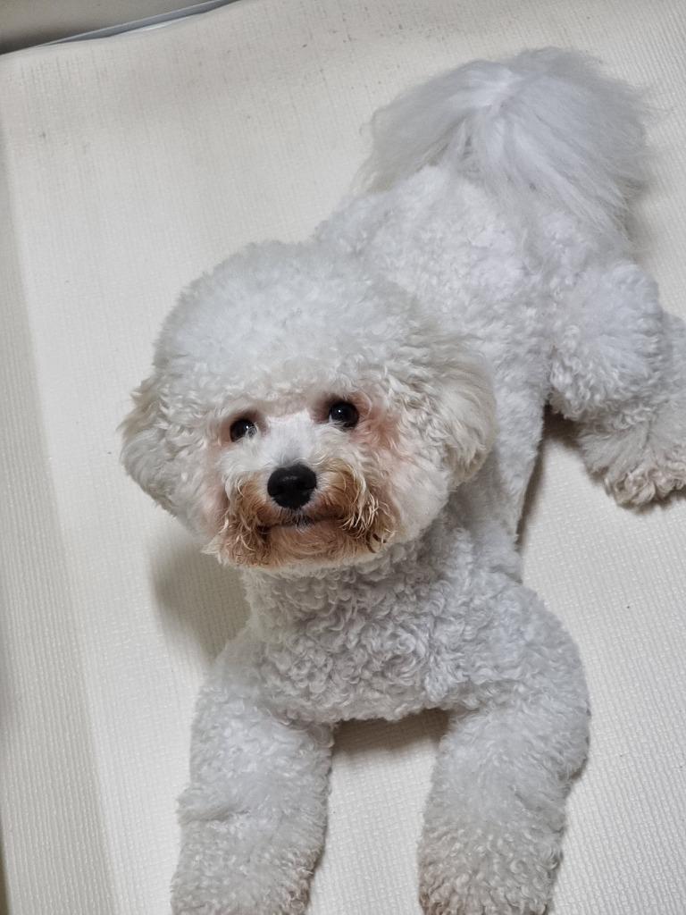 댓글 이미지