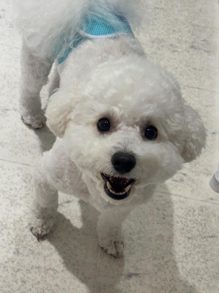댓글 이미지