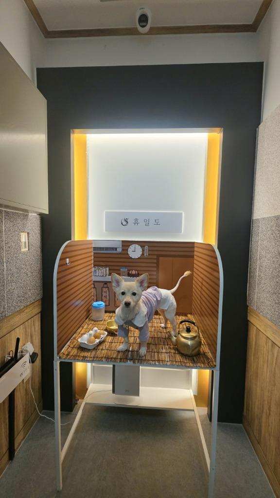 댓글 이미지
