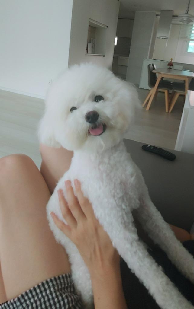 댓글 이미지