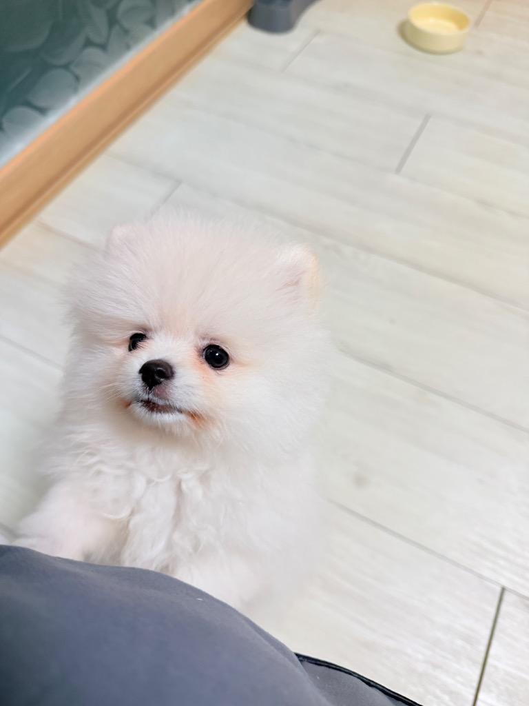 댓글 이미지