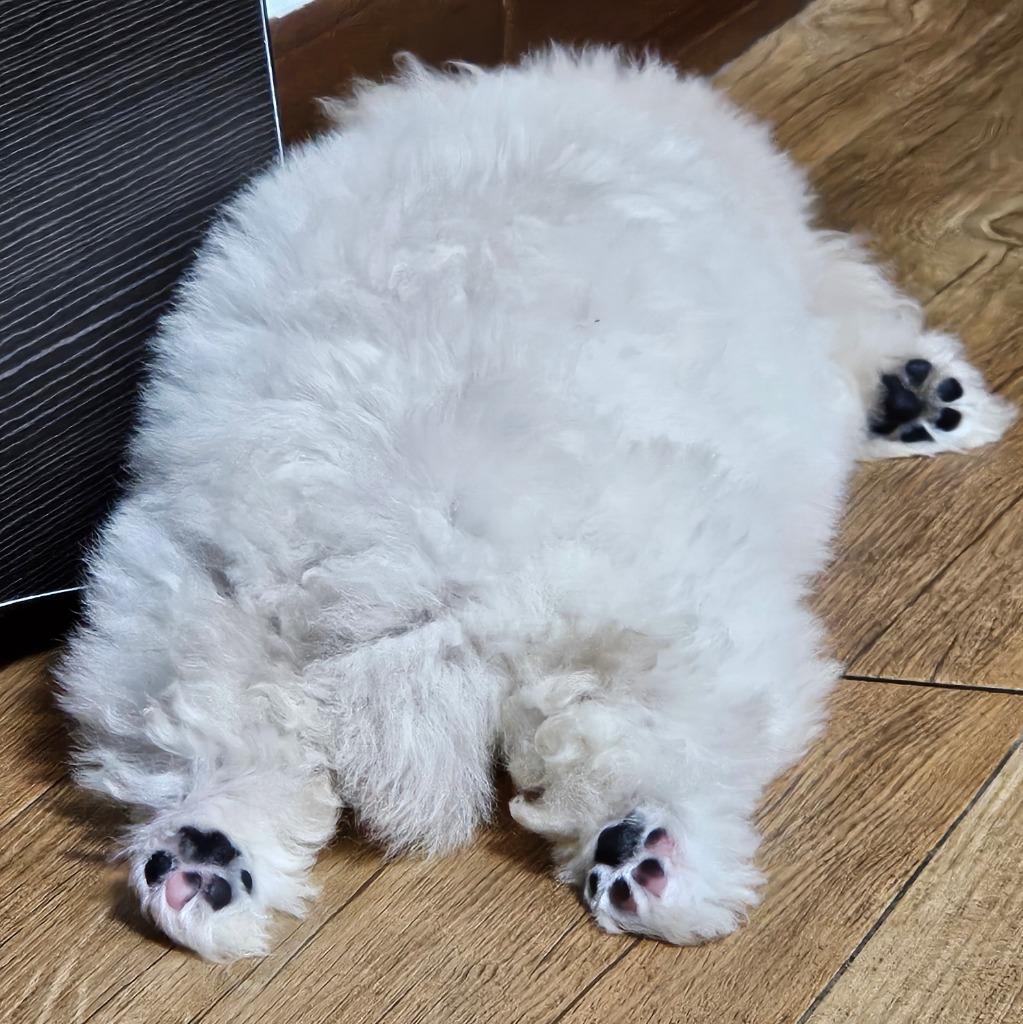 댓글 이미지