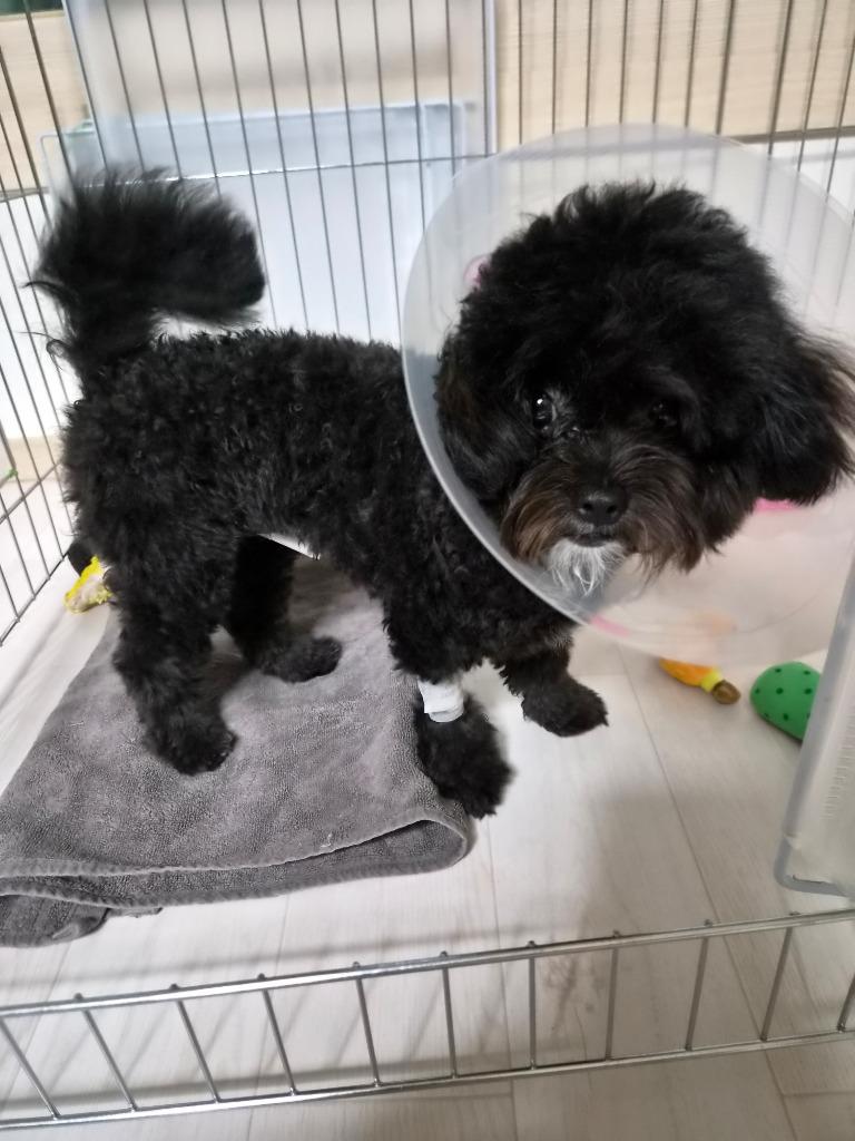 댓글 이미지