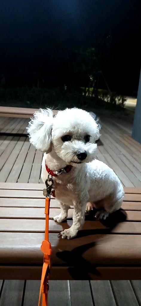 댓글 이미지