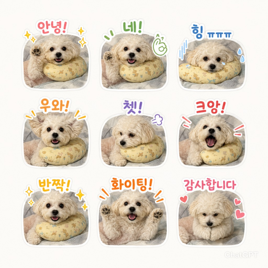 댓글 이미지
