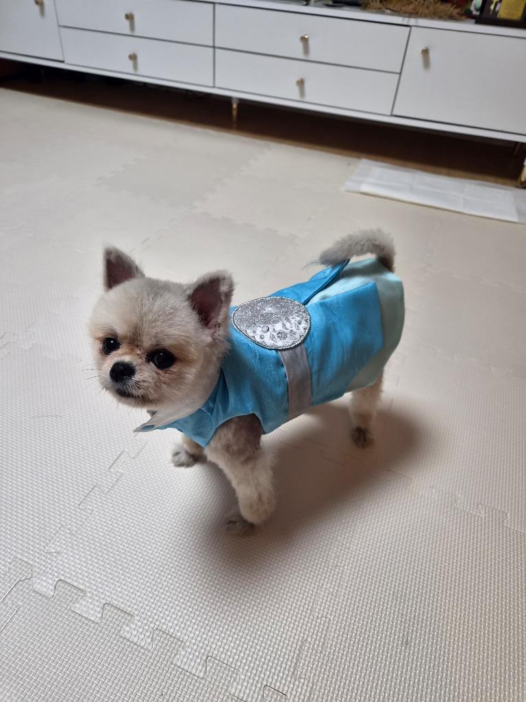 댓글 이미지