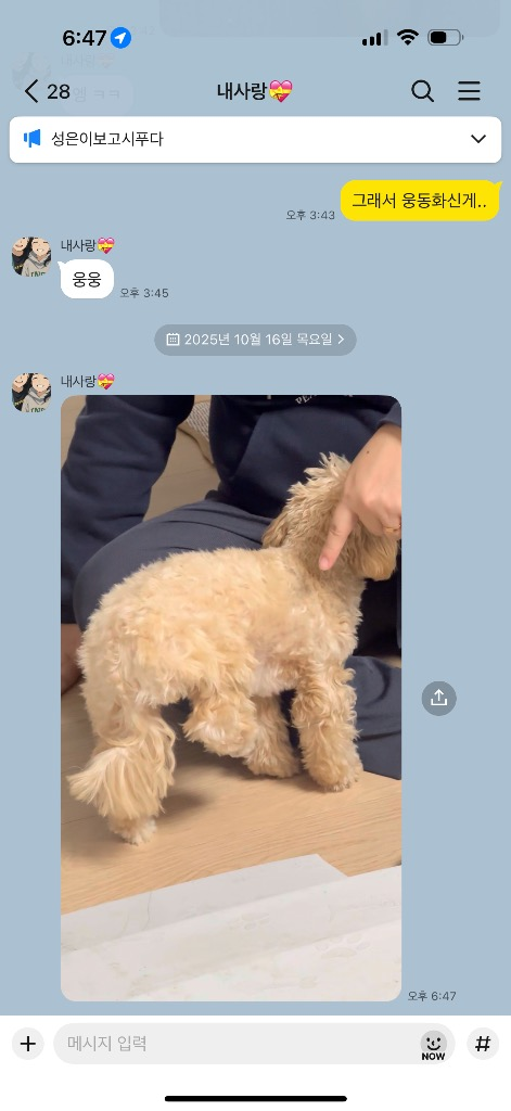 이미지